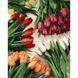 Преміум картина за номерами Різнокольорові тюльпани PGX37544 13824 фото 2