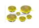 Силиконовые универсальные крышки Super stretch silicone lids Желтые 7427 фото 5