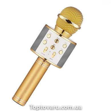 Караоке - микрофон WS 858 microSD FM радио Золотой 2466 фото
