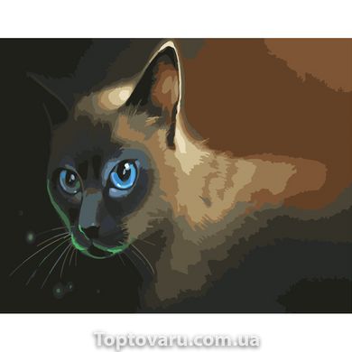 Картина за номерами Strateg ПРЕМІУМ Блакитноокий кіт розміром 40х50 см (GS368) GS368-00002 фото