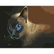 Картина за номерами Strateg ПРЕМІУМ Блакитноокий кіт розміром 40х50 см (GS368) GS368-00002 фото 1