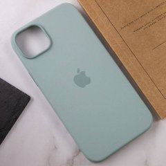 Чехол для смартфона Silicone Full Case AAA MagSafe IC for iPhone 14 Succulent 18821 фото