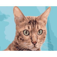 Картина за номерами Strateg ПРЕМІУМ Зеленоокий кіт розміром 40х50 см (DY097) DY097-00002 фото