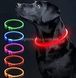 Универсальный светящийся ошейник для собак Trox TR-35 Красный 11350 фото 3