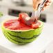 Нож для нарезки арбуза и дыни дольками Watermelon Slicer 4440 фото 1