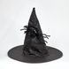 Шляпа ведьмы с пауком 11727 фото 1