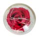 Троянда в колбі з LED підсвічуванням з фігурками 9177 фото 2